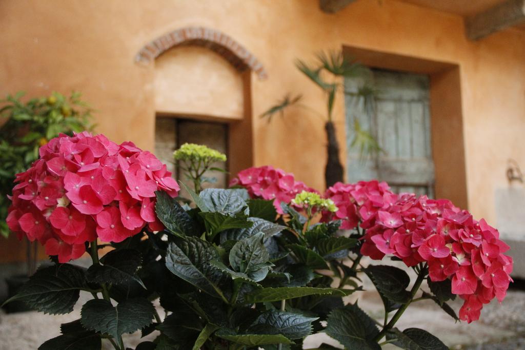 Ferienwohnung Borgo Archinto Robecco sul Naviglio Exterior foto